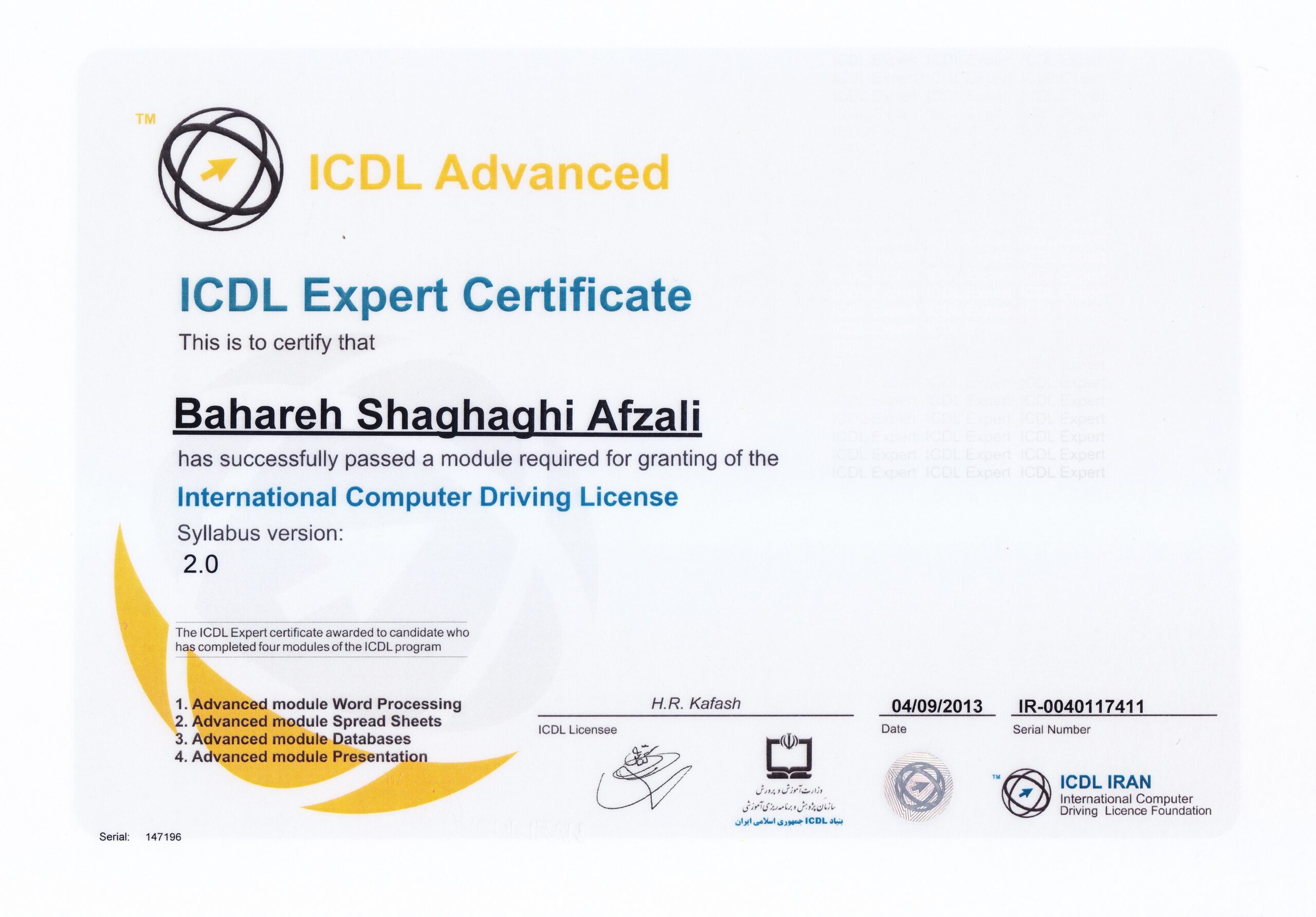 icdl expert